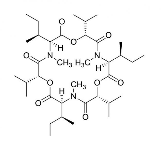 BIA-E1165-2.5mg Enniatin A BIA-E1165-2.5mg Enniatin A