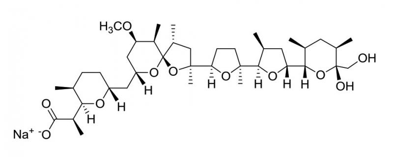 BIA-N1220-25mg Nigericin sodium salt BIA-N1220-25mg Nigericin sodium salt