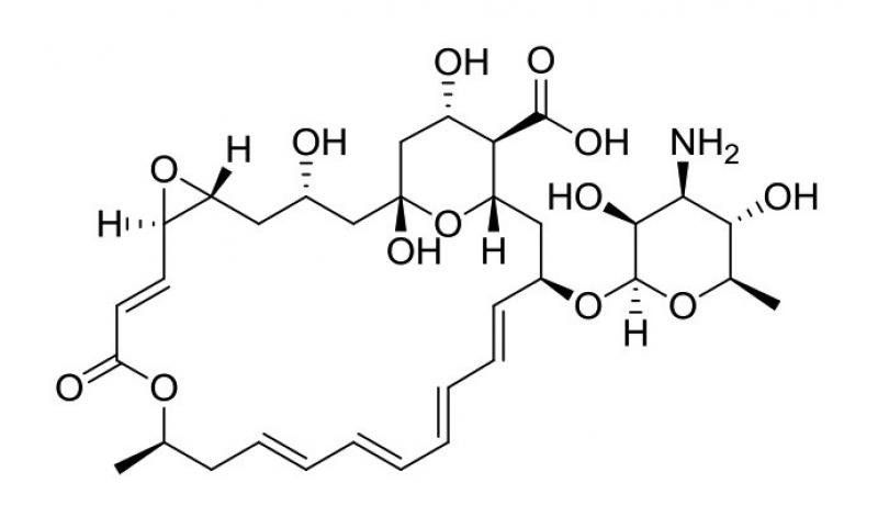 BIA-P1210-25mg Pimaricin BIA-P1210-25mg Pimaricin