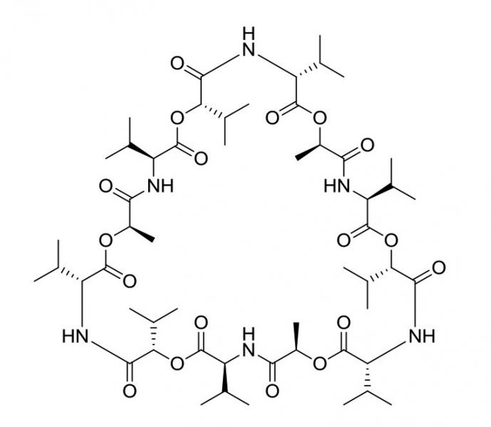 BIA-V1114-25mg Valinomycin BIA-V1114-25mg Valinomycin