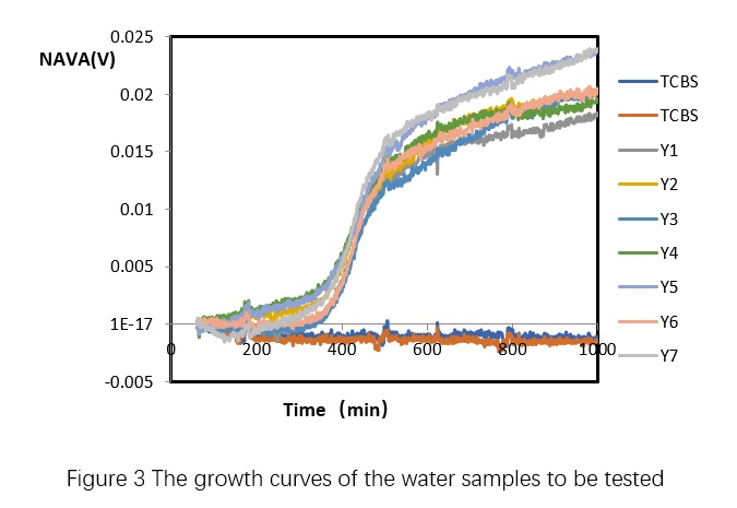 Figure 3.jpg