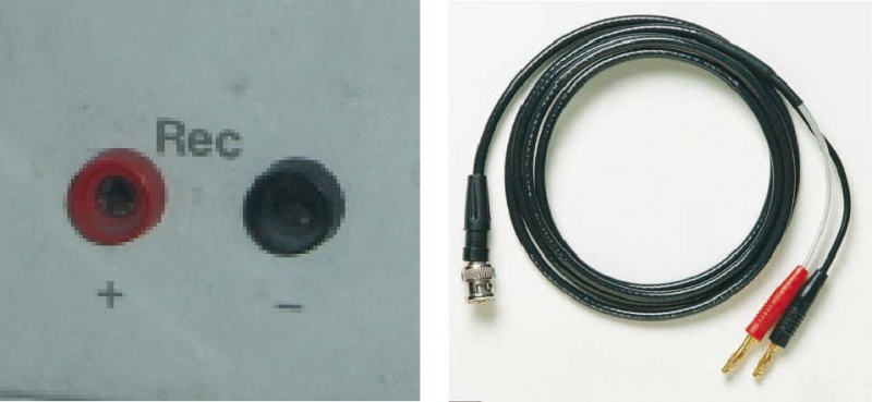 File:Figure 2. The spectrophotometer’s analog output “Rec” is connected to the e-corder using a banana plugs to BNC cable.jpg