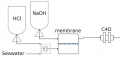 Scripps procedure for the measurement2.jpg