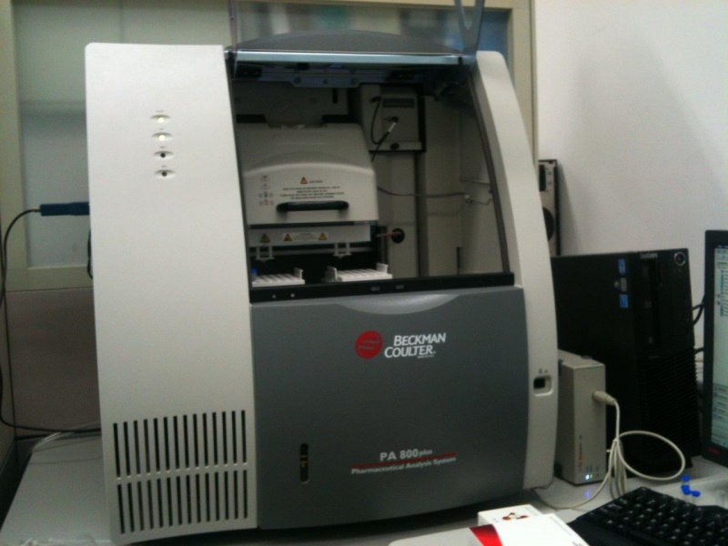 File:IMG 1229.JPG