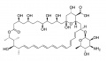 AmphotericinB 1.jpg