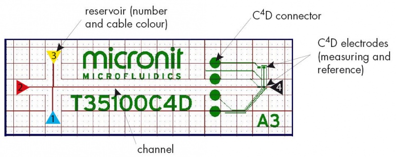 File:Figure 1. Microchip nomenclature.jpg